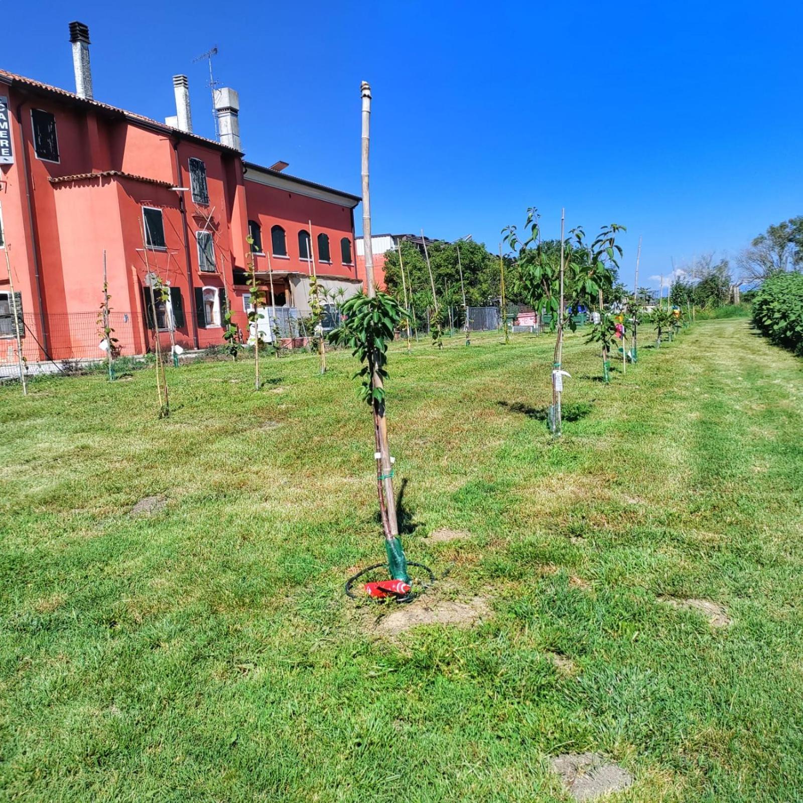 Quadrifoglio Relax Guest House San Dona di Piave Luaran gambar