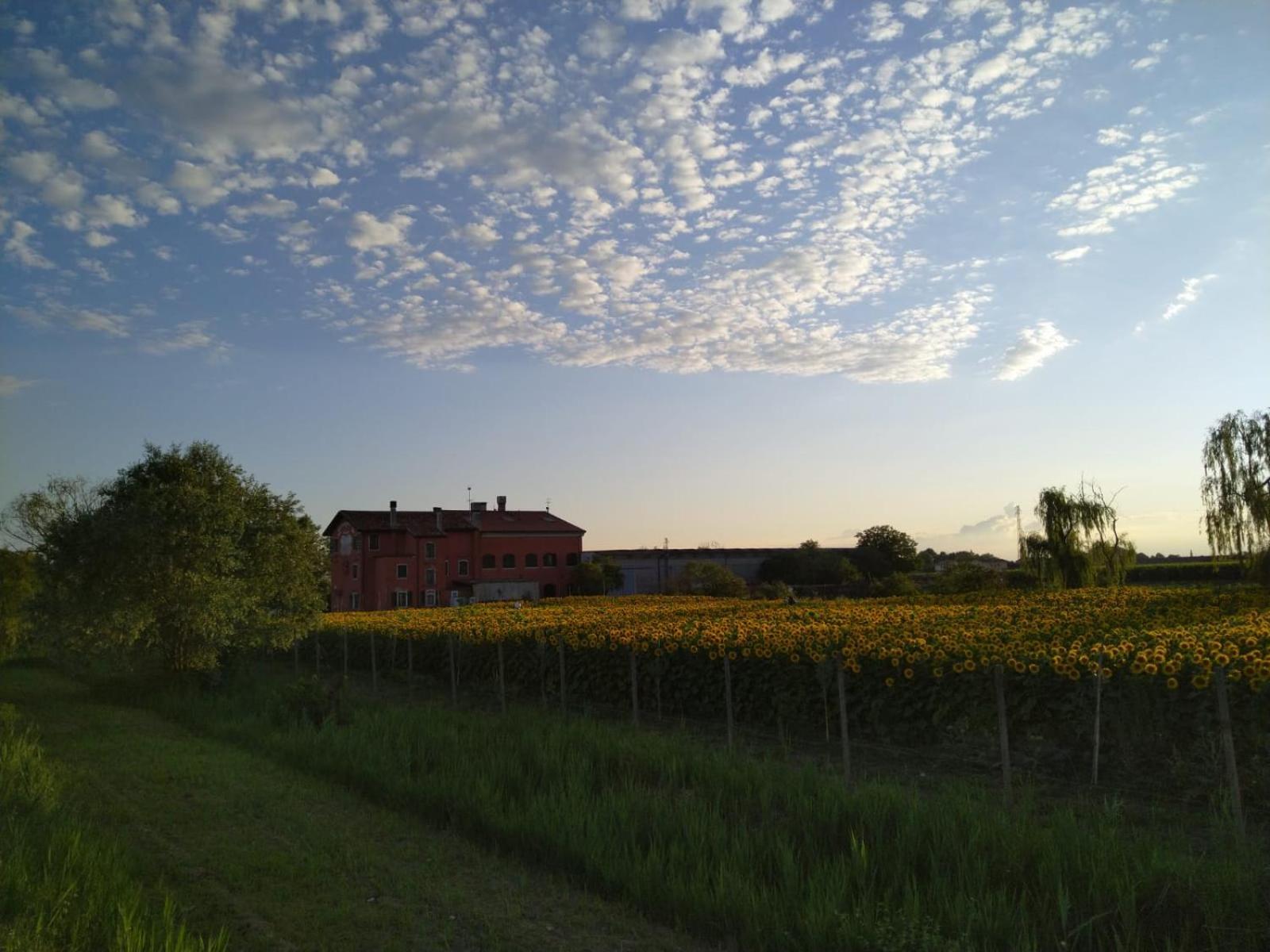 Quadrifoglio Relax Guest House San Dona di Piave Luaran gambar
