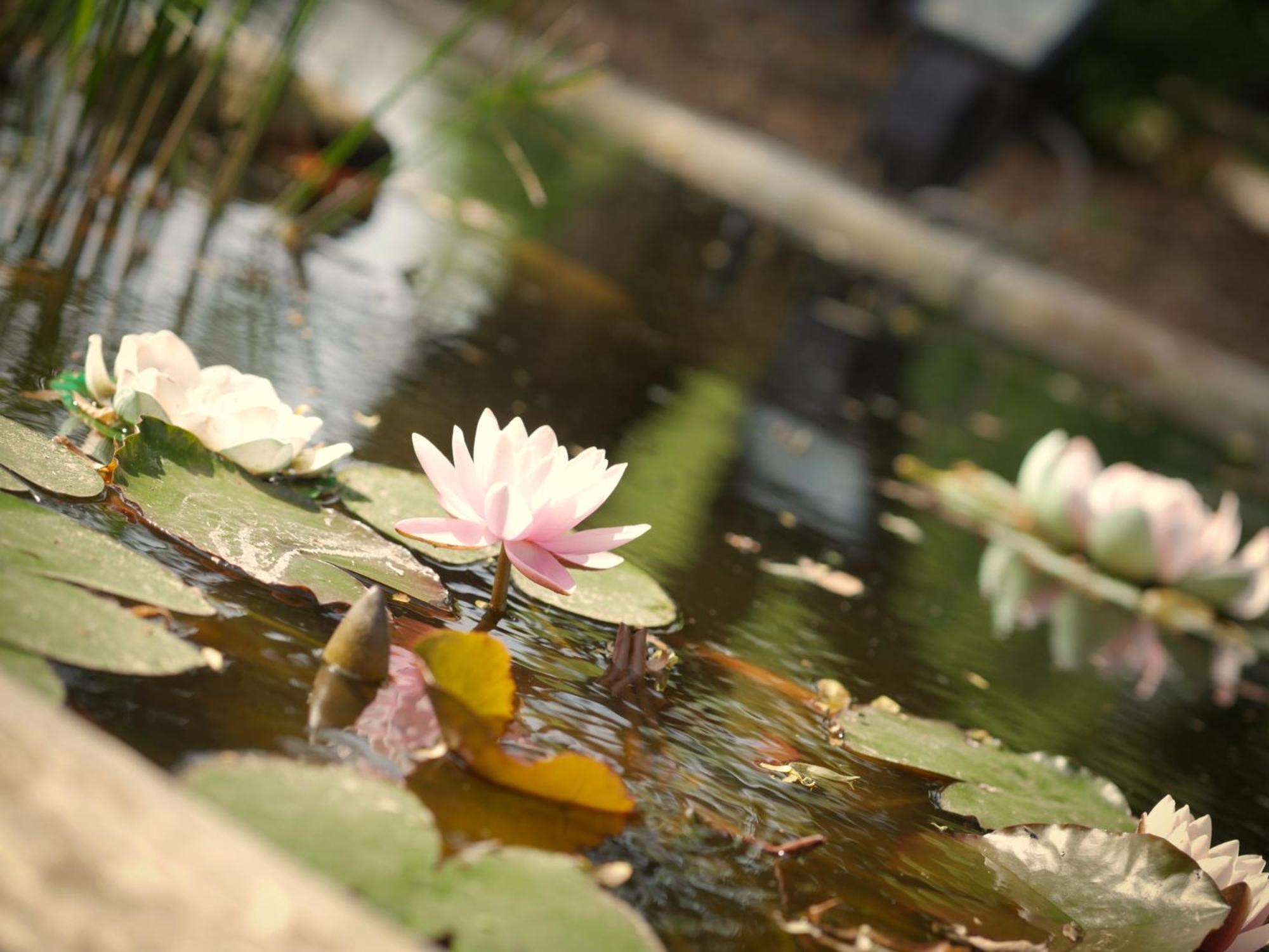 Quadrifoglio Relax Guest House San Dona di Piave Luaran gambar