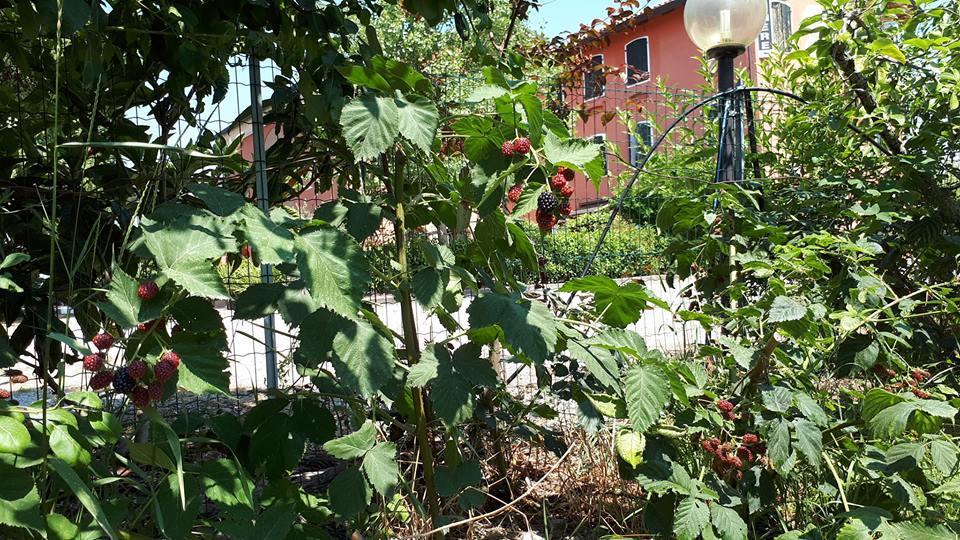Quadrifoglio Relax Guest House San Dona di Piave Luaran gambar
